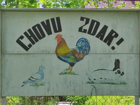 Nenápadná výstava drobného zvířectva v Hradci nad Svitavou se může pochlubit 46 lety tradice