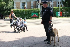 Přesvědčivé případy využívání psů Městskou policií v Liberci