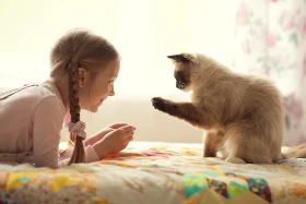 Kočka vhodná k dětem? Představujeme 8 nejvlídnějších kočičích plemen