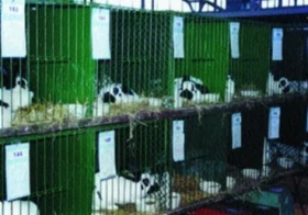 Celostátní výstava Brno