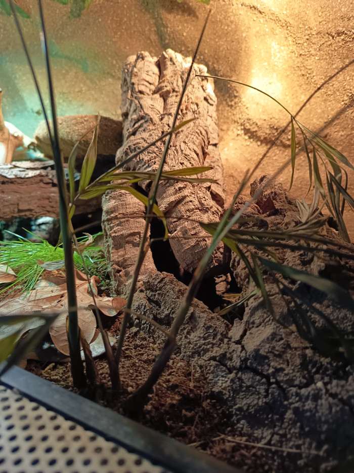 Vnitřek dutiny je vyplněn směsí