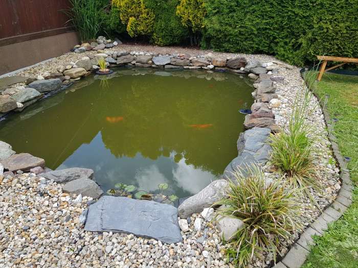 Prikladam foto rybniku