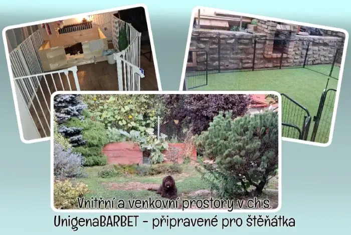 chovatelská stanice Unigena BARBET