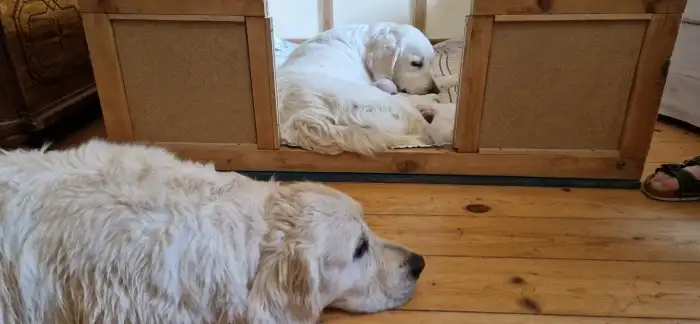 S babičkou Ashley v popředí.