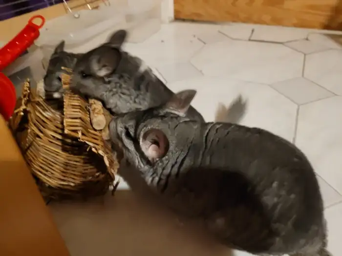 S tátou na průzkumu