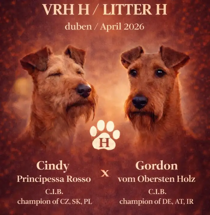 Rodiče štěňátek