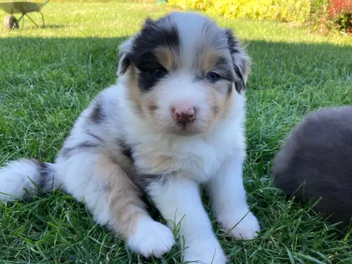 ERIK