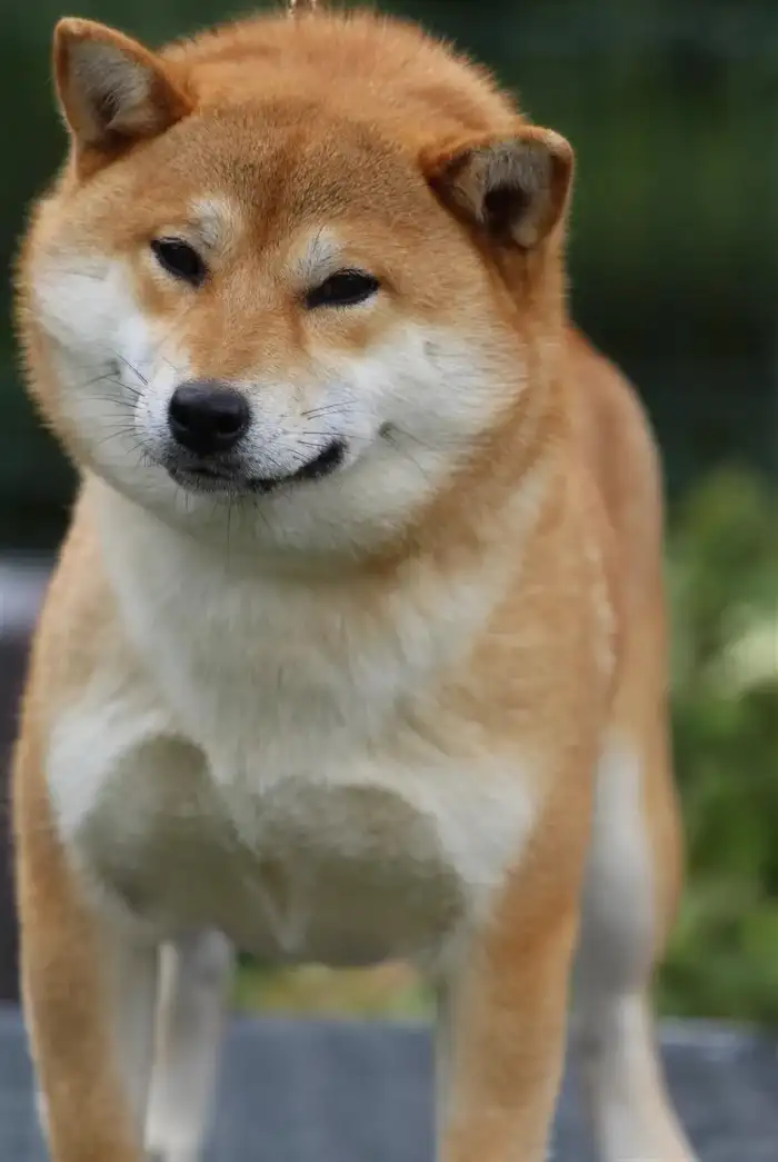 Matka