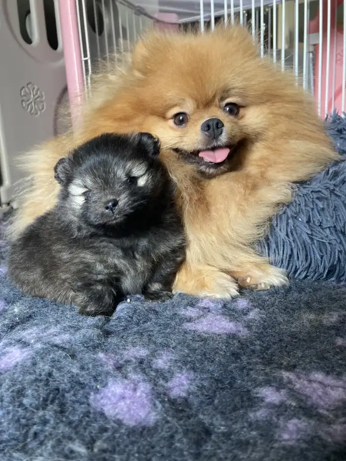 Foto s matkou ve veku 4 týdnů