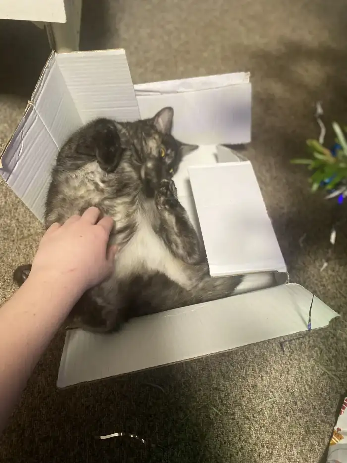 Maggie