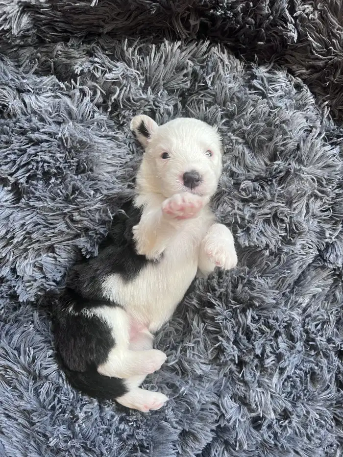 Přijeďte se na nás podívat 🥰