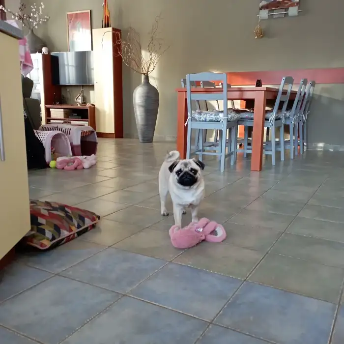 Maminka "Růženka" doma