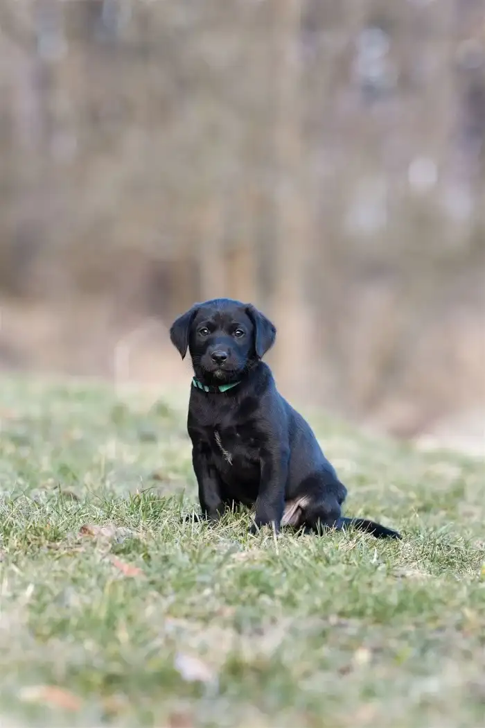 věk na fotce 7 týdnů