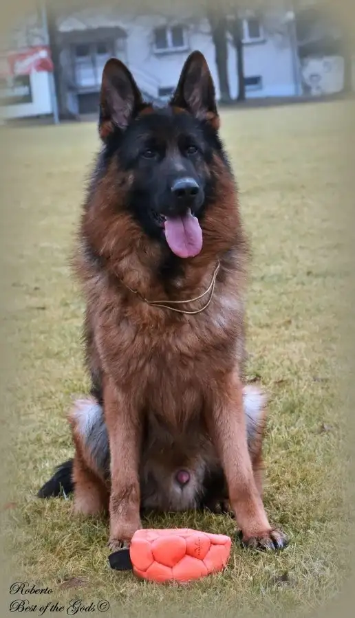 Otec
