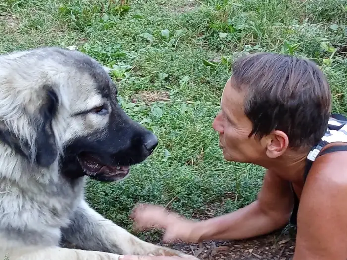P.s. já jsem ta vpravo