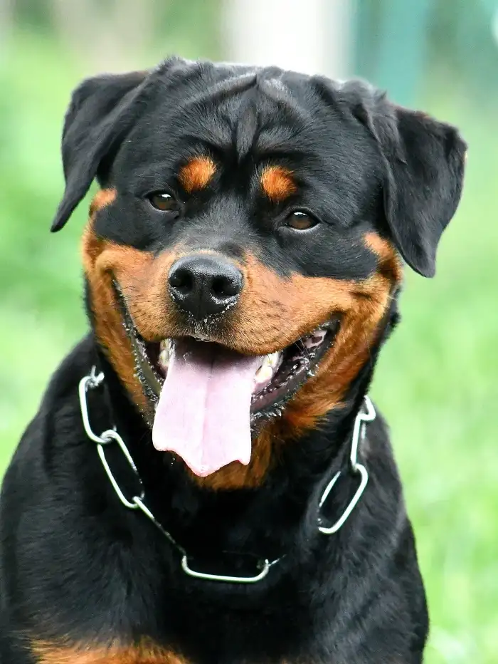 matka