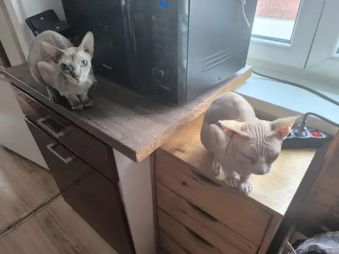Maminka Amálka a tatínek Dobby