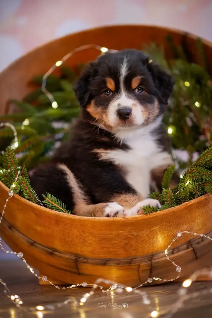 Etien ve 2 mesících