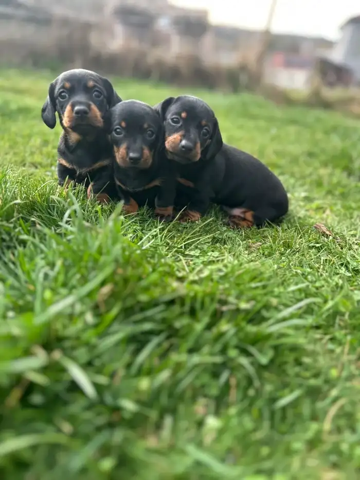 Tři princezny ❤️