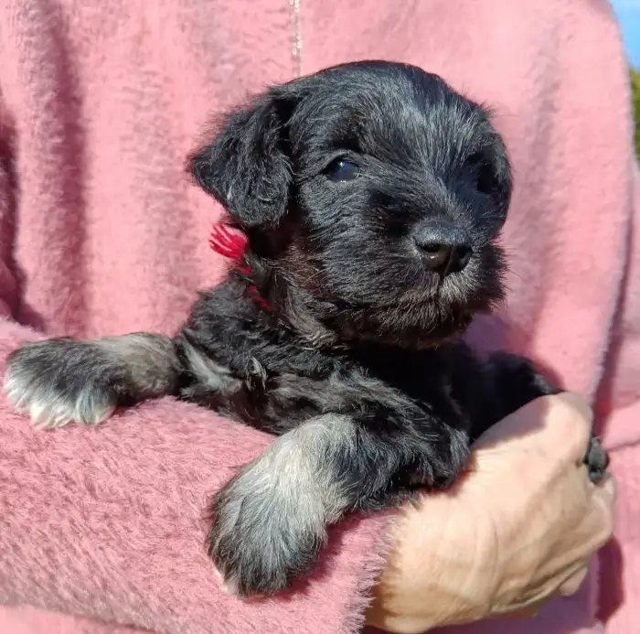 Vyhlížím NEJ parťáka pro společný život.