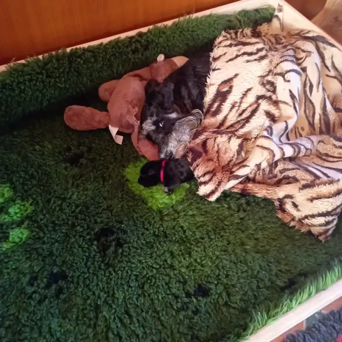 Krátce po porodu s mamkou