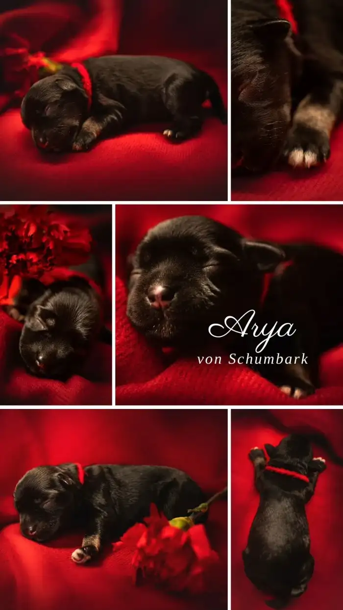 Fotila teta fotografka