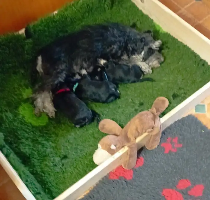 S mamkou Aki od Čeňule