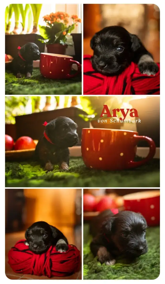 Už jsem hrnek přerostla