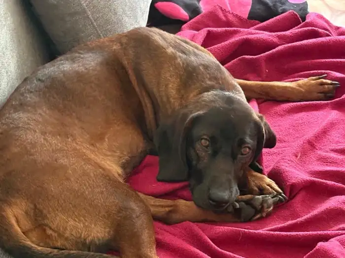 Matka
