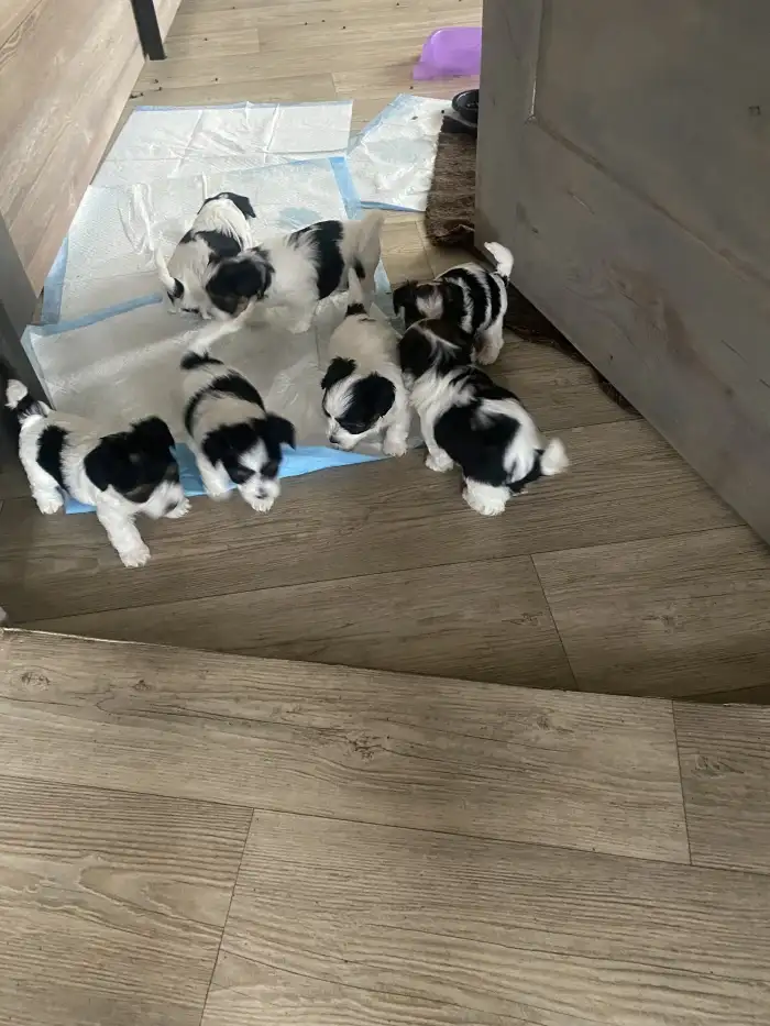 Parta vyrazí ❤️