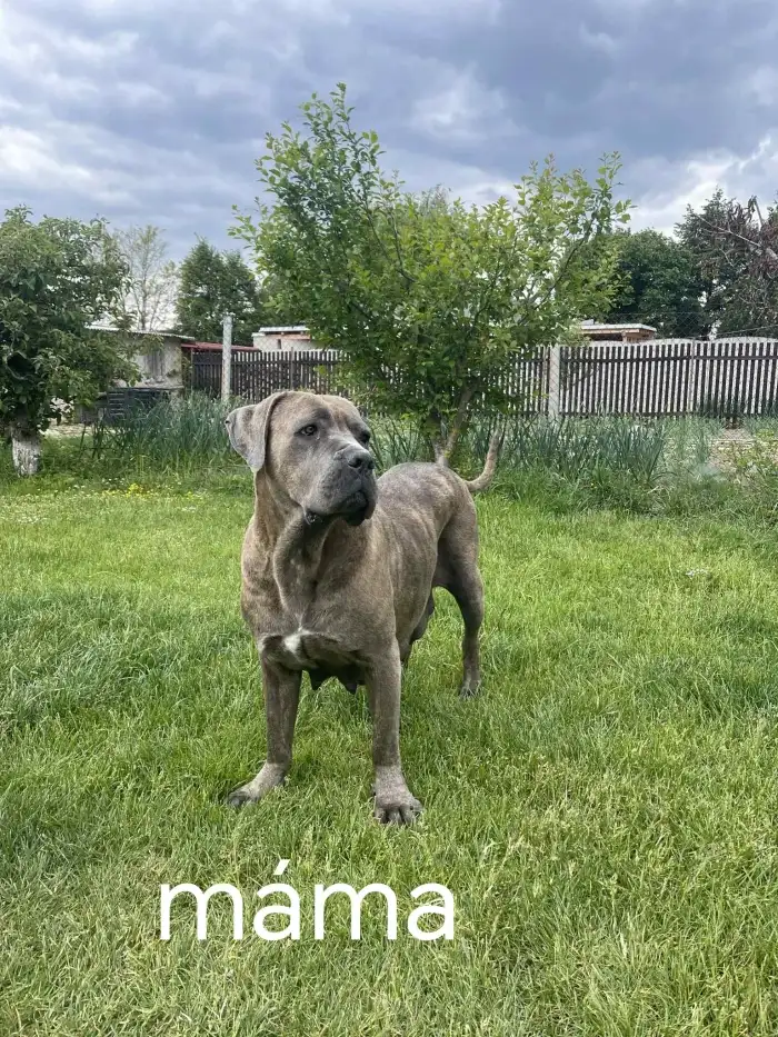 Matka