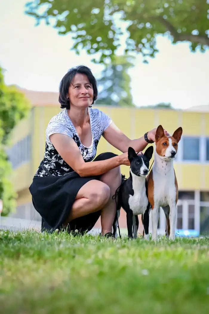 Basenji EWO