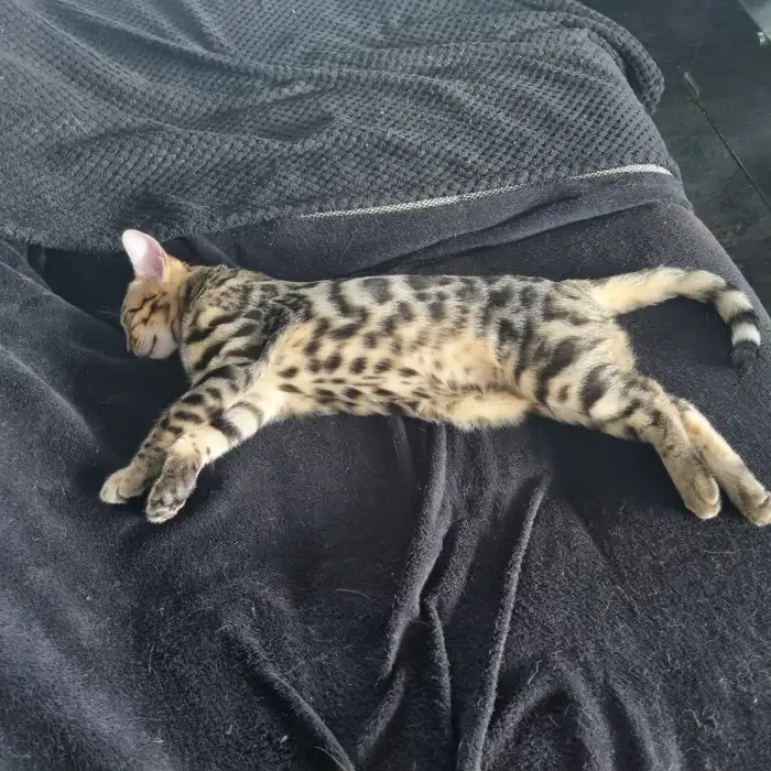 Relax