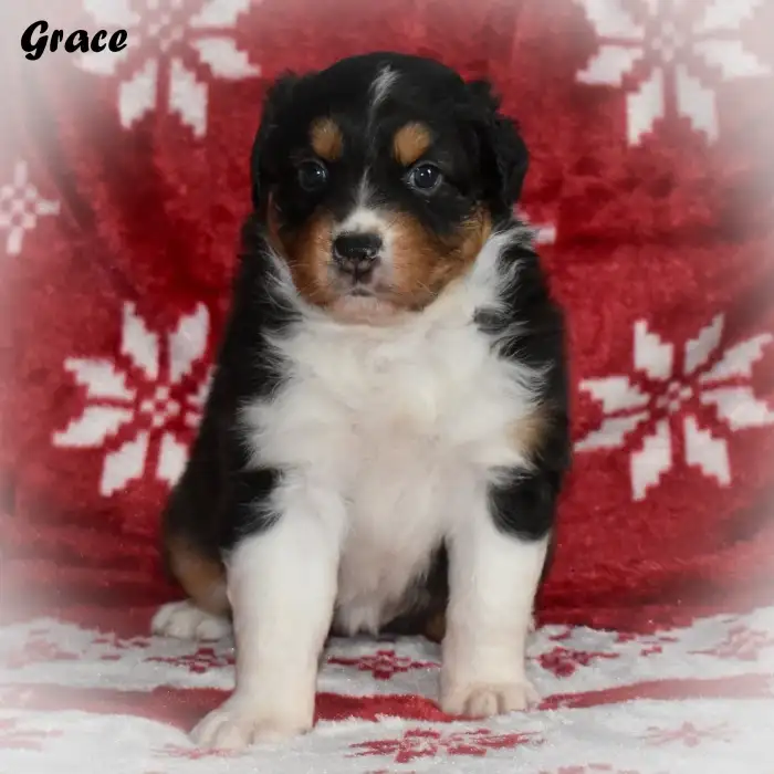Grace