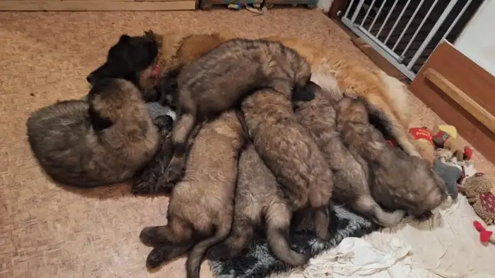 nejkrásnější chvíle