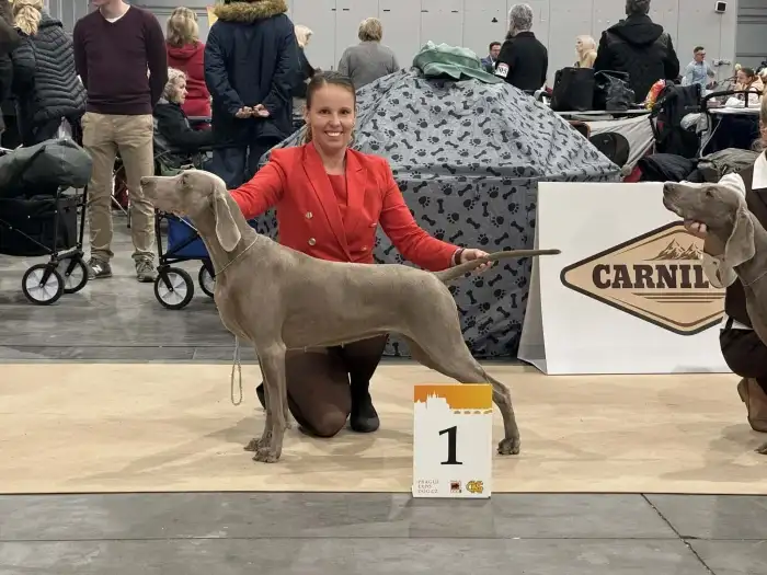 Matka vrhu F - Pepper