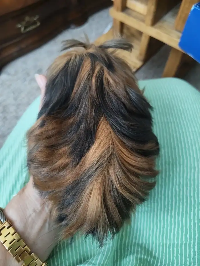 Chlapec
