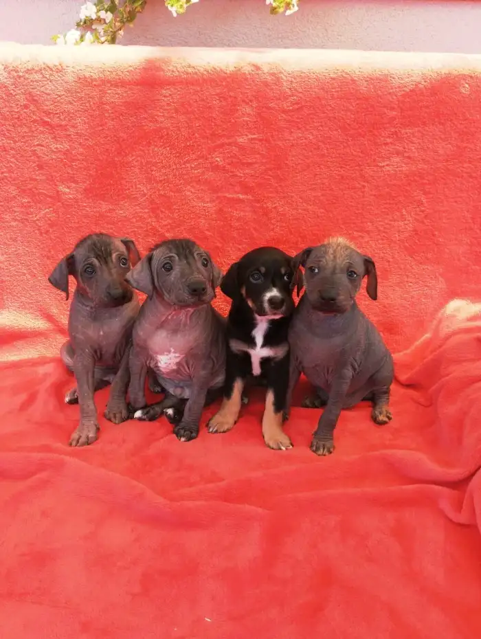 Enzo,Emilio,Eywa,Enrique