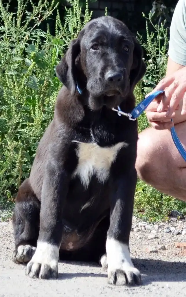 SABINA