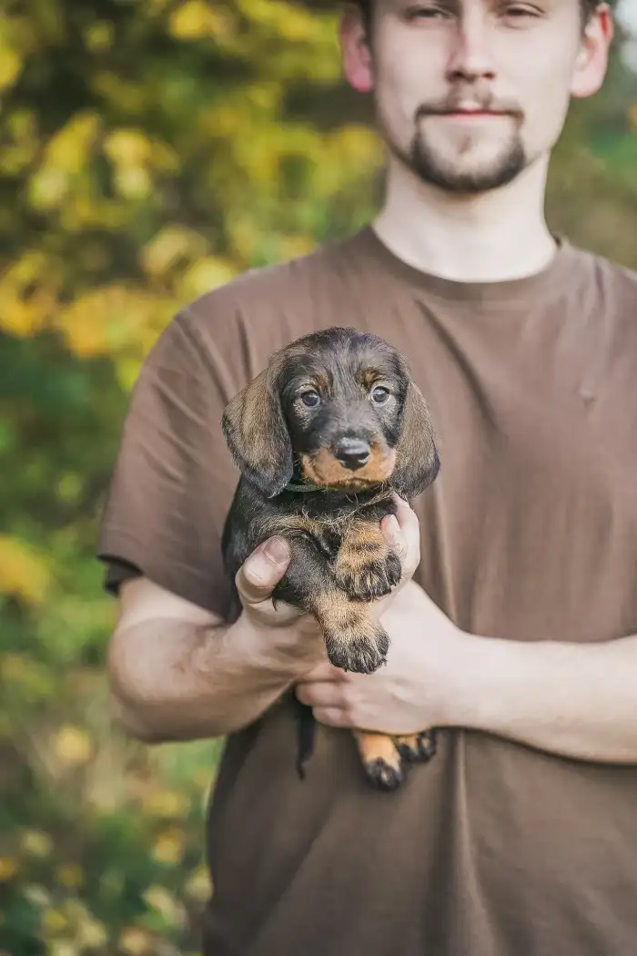 Arya