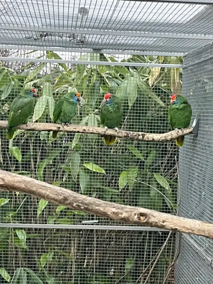 Mladata vlevo na foto