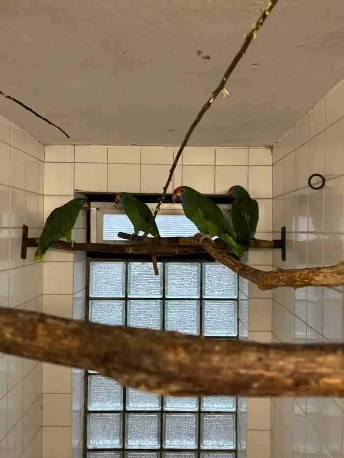 Mladata vlevo na foto