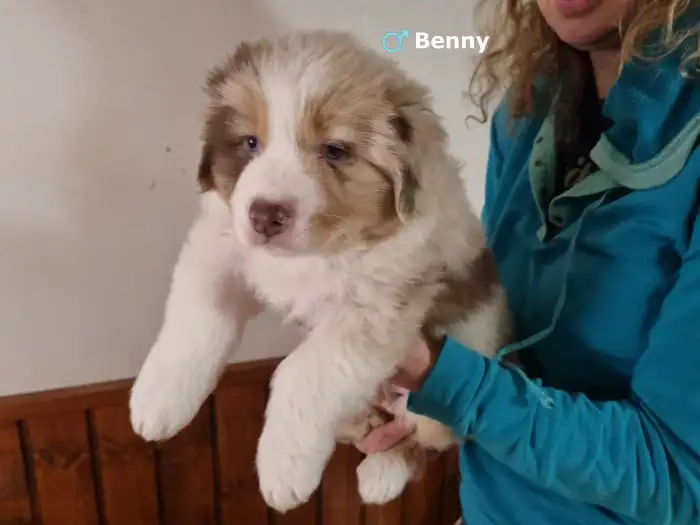 Benny