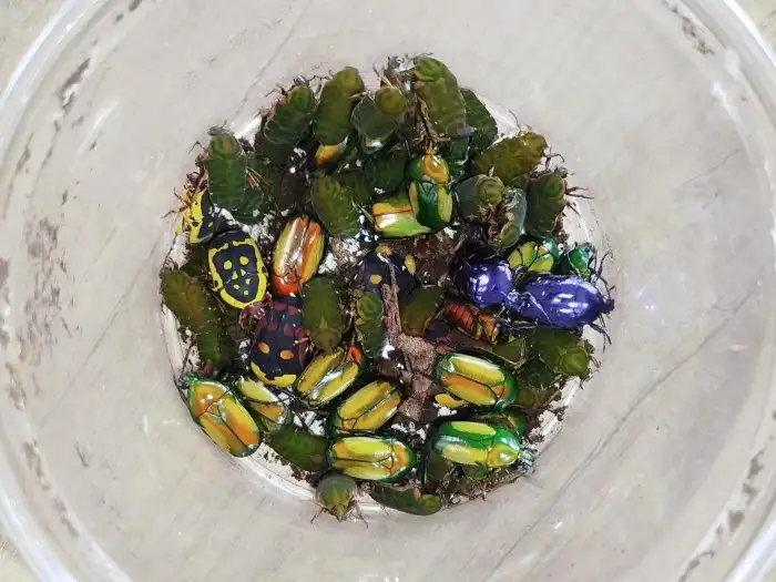 Některé dny se toho lihne dost