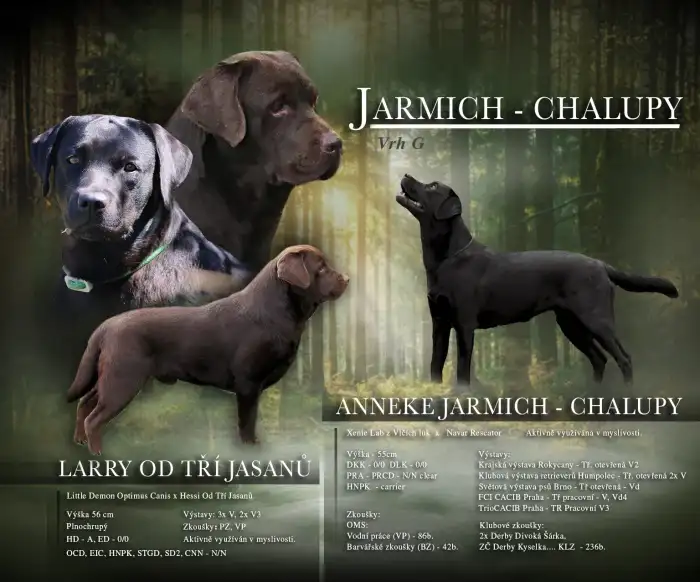 Letáček Theušky a Larryho