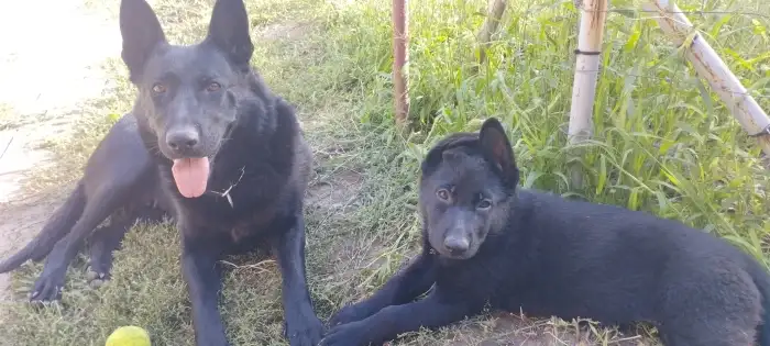 Fena Bona s matkou