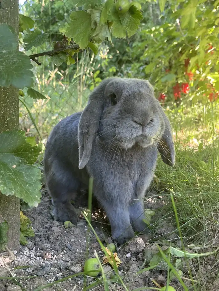 2.foto