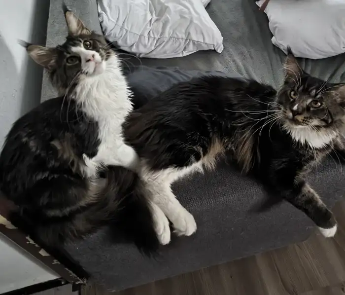 Se starším bratrem