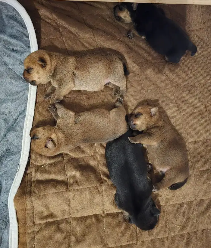 Zatím nejraději jíme a odpočíváme