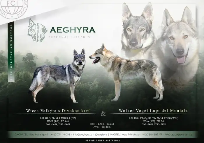 Vrh D - zdravotní výsledky rodičů, bonitační kódy